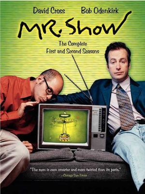 Mr. Show with Bob and David: Fantastic Newness poster