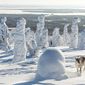 Foto 20 Aïlo: Une odyssée en Laponie