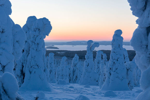 Aïlo: Une odyssée en Laponie
