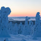 Aïlo: Une odyssée en Laponie/Ailo - Aventuri în Laponia