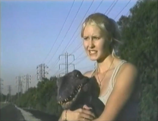 Rollergator