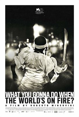 What You Gonna Do When the World's on Fire? poster