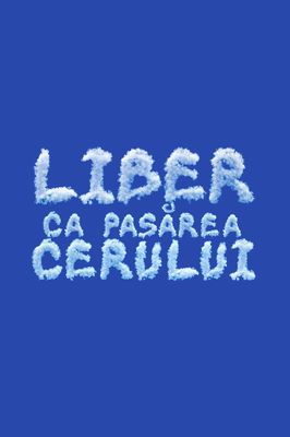 Liber ca pasărea cerului poster