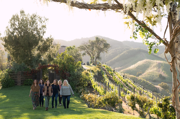 Wine Country