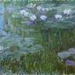 Foto 23 Le ninfee di Monet - Un incantesimo di acqua e luce