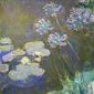 Foto 25 Le ninfee di Monet - Un incantesimo di acqua e luce