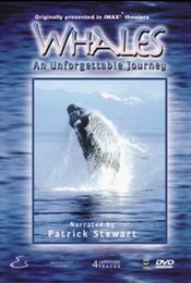 Poster Whales: An Unforgettable Journey