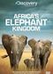 Film Africa's Elephant Kingdom