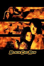Poster Black Cat Run