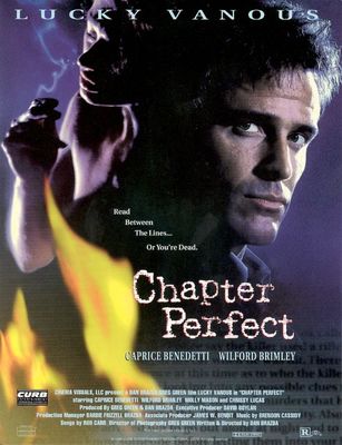 Chapter Perfect poster