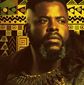 Poster 13 Black Panther: Wakanda Forever