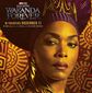 Poster 16 Black Panther: Wakanda Forever