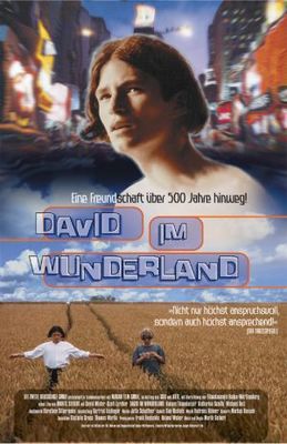 David im Wunderland poster