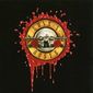 Poster 1 Guns N' Roses: Welcome to the Videos