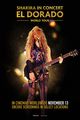 Film - Shakira in Concert: El Dorado World Tour
