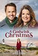 Film - A Godwink Christmas