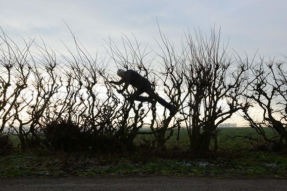 Leaning Into the Wind: Andy Goldsworthy