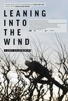 În bătaia vântului: Andy Goldsworthy