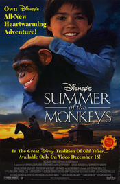 Poster Summer of the Monkeys