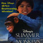 Poster 1 Summer of the Monkeys