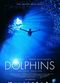 Film Dolphins