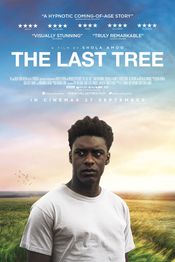 Poster The Last Tree