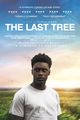Film - The Last Tree