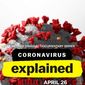Poster 1 Coronavirus, Explained
