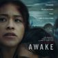 Poster 1 Awake