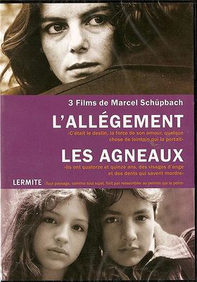 Les agneaux poster