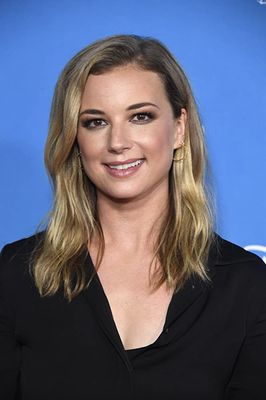 Emily VanCamp în The Falcon and the Winter Soldier