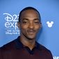 Foto 24 Anthony Mackie în The Falcon and the Winter Soldier