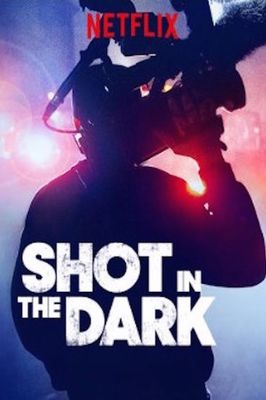 Shot in the Dark poster