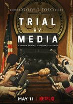 Procese judecate în mass-media