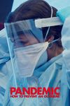 Pandemia: Virusul gripal