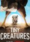 Film Tiny Creatures