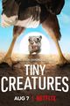 Film - Tiny Creatures