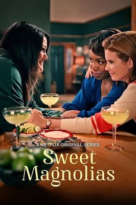 Sweet Magnolias poster