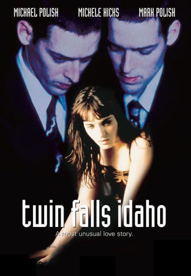 Twin Falls Idaho poster