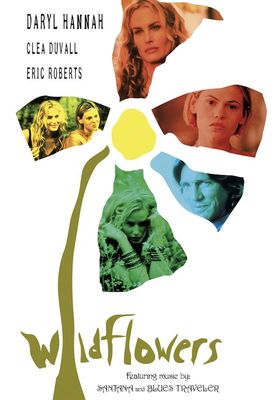 Wildflower poster