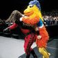Foto 15 WrestleMania XV
