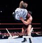 Foto 6 WrestleMania XV