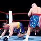 Foto 10 WrestleMania XV