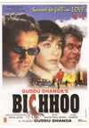Bichhoo