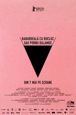 Babardeală cu bucluc sau porno balamuc poster