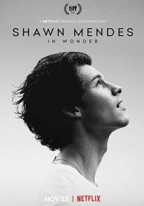 Shawn Mendes: In Wonder