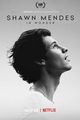 Film - Shawn Mendes: In Wonder
