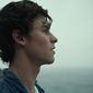 Shawn Mendes: In Wonder/Shawn Mendes: În rezonanță
