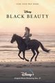 Film - Black Beauty