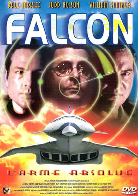 Falcon Down poster